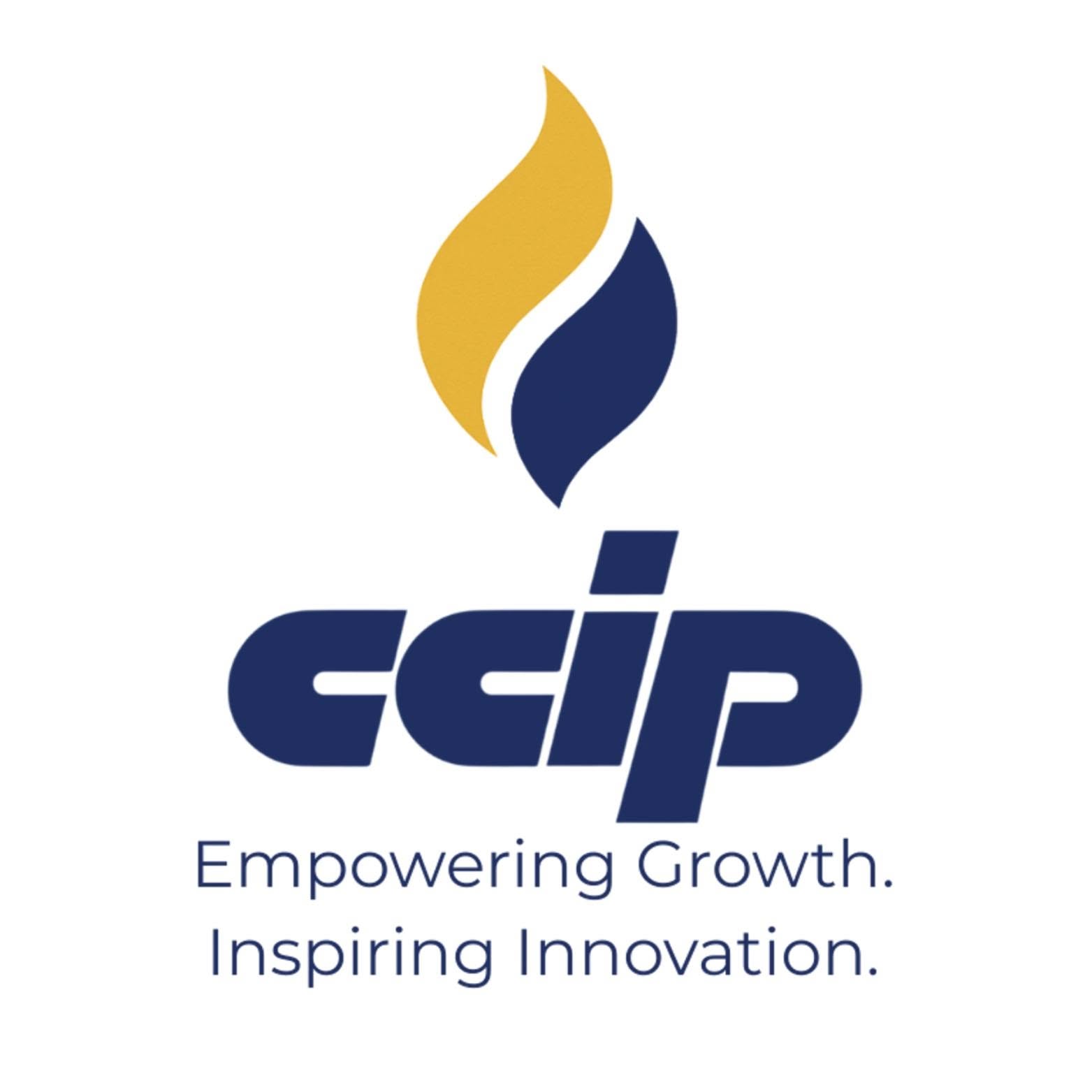 CCIP Logo